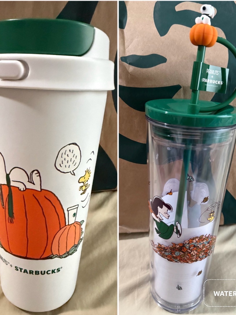 Starbucks Great Pumpkin Tumbler & Snoopy Pumpkin
Cold Cup Tumbler Bundle